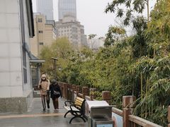 -雁滩公园