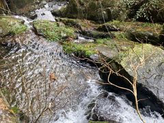 -藏龙百瀑风景区