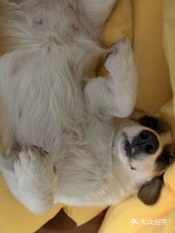 你这呼噜声中我听出来了，你白天玩的很累