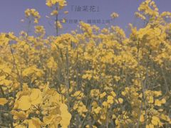 -美丽洲堂