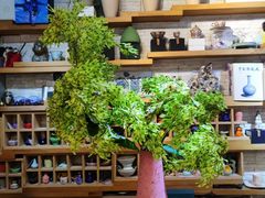-今日陶艺(富力广场店)