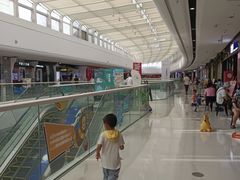 -合肥野生动物园