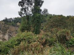-火炉山森林公园
