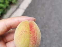 -太阳湾风景区