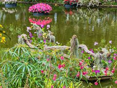 -深圳仙湖植物园
