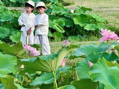 -池杉湖湿地公园