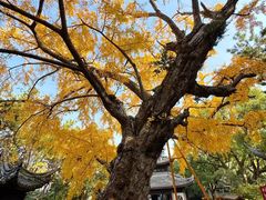 -无锡惠山寺