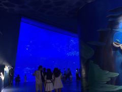 -南昌融创海世界