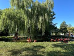 -石家庄市动物园