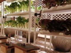 大堂-西安浐灞艾美酒店·汉江餐厅·火锅