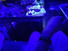 -极度沸点CLUB KTV(世贸中心店)