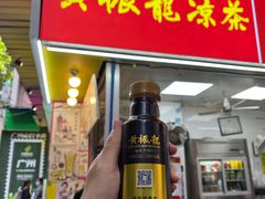 -黄振龙凉茶馆(天河南店)