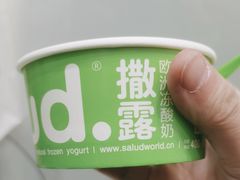 -Salud撒露欧洲冻酸奶(蓝色港湾店)