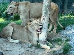 -北京野生动物园