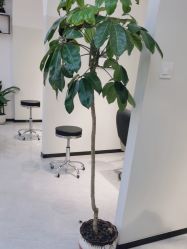 -吉艺心专业美发造型