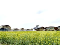 -中国天府农业博览园