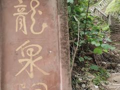 -龙泉洞(沙坪坝区)