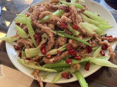 干煸鱿鱼须-鑫来子菜馆