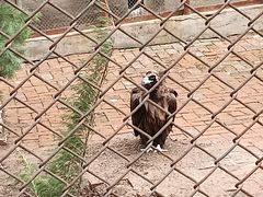 -哈尔滨北方森林动物园