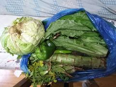 -小龙坎火锅(泉舜店)