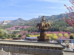 -石岛赤山风景区