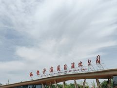 -西安浐灞国家湿地公园