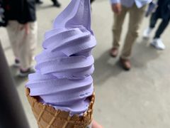 -富田农场