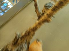 -湘当爱·鲜煮现炒(松岗立业路店)