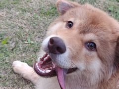 -联合动物医院(光谷诊疗中心)