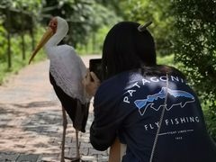 -吉隆坡雀鸟公园