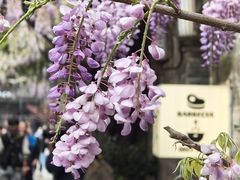 -老门东历史文化街区
