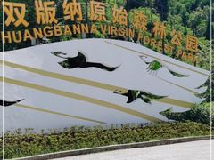 -西双版纳原始森林公园