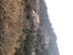 -木兰云雾山