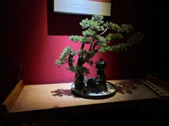 -叁口组·秘密酒廊(钱王街店)