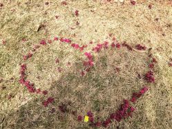 -爱贝乐妈咪月子中心