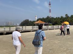 -东郊椰林
