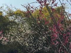 -汇龙潭