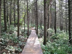 -白草畔自然风景区