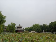 -莲池书院博物馆