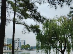 -美兰湖景区