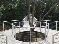 -大塘金香草谷