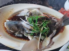 -岛中岛·海鲜大排档·万宁老字号(东澳店)