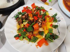 -煲来饱去冷水鱼