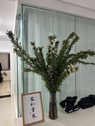 -森柏·SENBO男士护肤·SPA综合管理中心