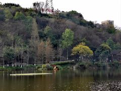 -重庆彩云湖湿地公园