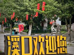 -溪口-滕头旅游景区