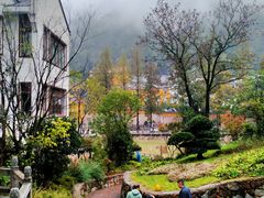 -九华山聚龙大酒店