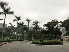 -大埔公路-马料水段香港中文大学(公交站)