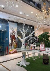 -同远QQBABY亲子摄影(北京路店)