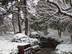 -济南大明湖景区